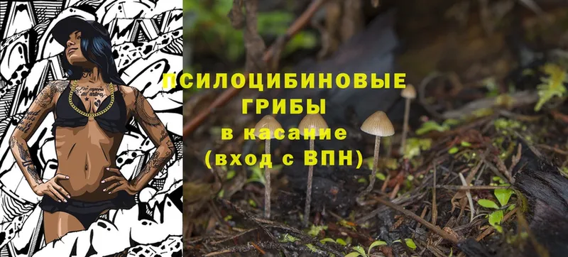 Галлюциногенные грибы MAGIC MUSHROOMS  Макушино 